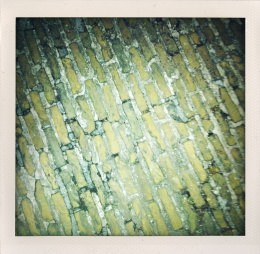 365 days — Laziz Hamani