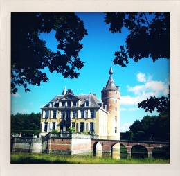 365 days — Laziz Hamani