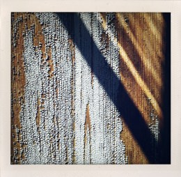 365 days — Laziz Hamani