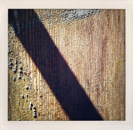 365 days — Laziz Hamani