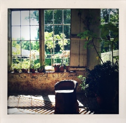 365 days — Laziz Hamani