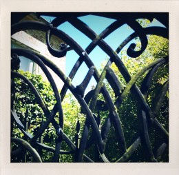 365 days — Laziz Hamani