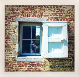 365 days — Laziz Hamani