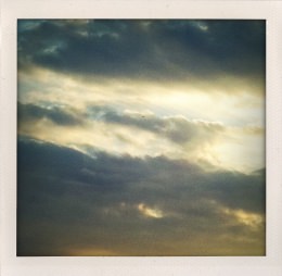 365 days — Laziz Hamani