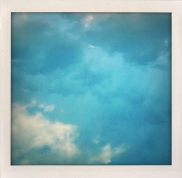 365 days — Laziz Hamani