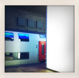 365 days — Laziz Hamani