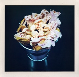 365 days — Laziz Hamani