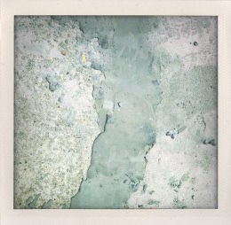 365 days — Laziz Hamani