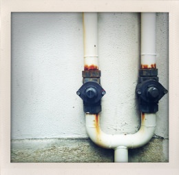 365 days — Laziz Hamani