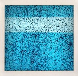 365 days — Laziz Hamani