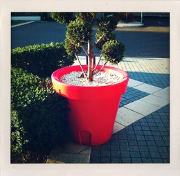 365 days — Laziz Hamani