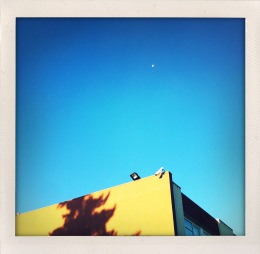 365 days — Laziz Hamani