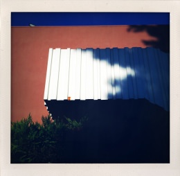 365 days — Laziz Hamani