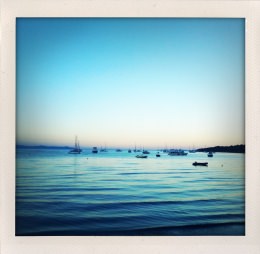 365 days — Laziz Hamani