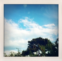 365 days — Laziz Hamani