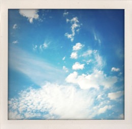 365 days — Laziz Hamani