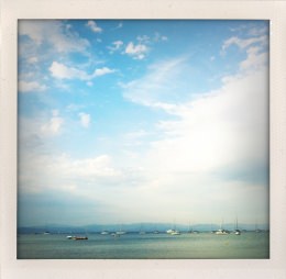 365 days — Laziz Hamani