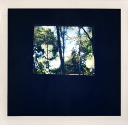 365 days — Laziz Hamani