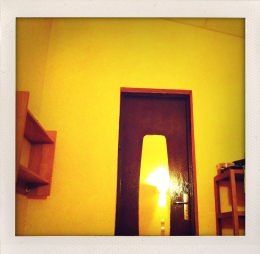 365 days — Laziz Hamani