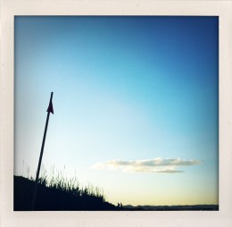 365 days — Laziz Hamani