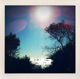 365 days — Laziz Hamani