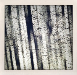 365 days — Laziz Hamani