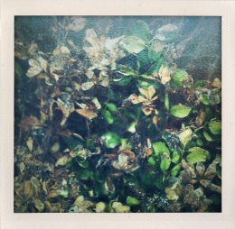 365 days — Laziz Hamani