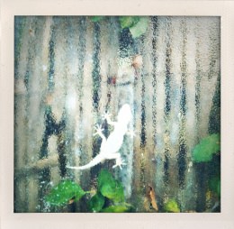 365 days — Laziz Hamani