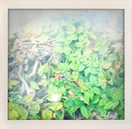 365 days — Laziz Hamani