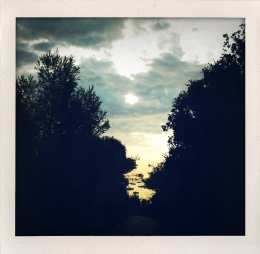 365 days — Laziz Hamani