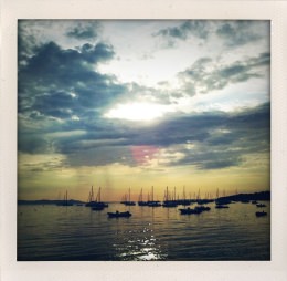 365 days — Laziz Hamani