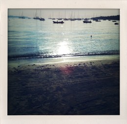 365 days — Laziz Hamani