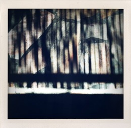 365 days — Laziz Hamani