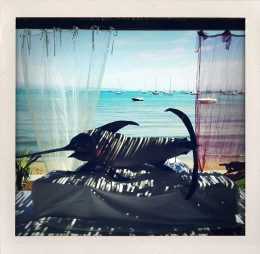 365 days — Laziz Hamani