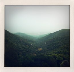 365 days — Laziz Hamani