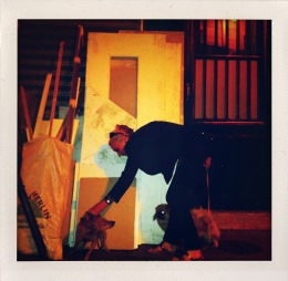 365 days — Laziz Hamani