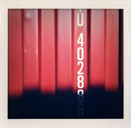 365 days — Laziz Hamani