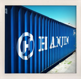 365 days — Laziz Hamani