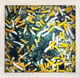 365 days — Laziz Hamani