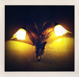 365 days — Laziz Hamani