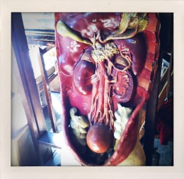 365 days — Laziz Hamani