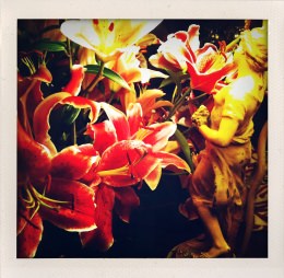 365 days — Laziz Hamani