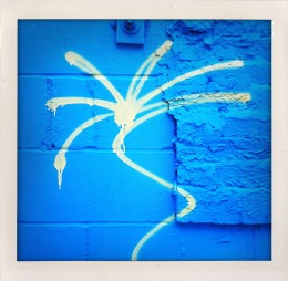 365 days — Laziz Hamani