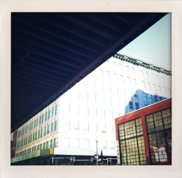 365 days — Laziz Hamani