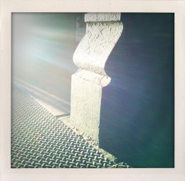 365 days — Laziz Hamani