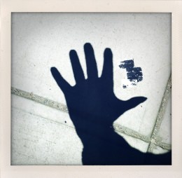 365 days — Laziz Hamani