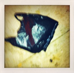 365 days — Laziz Hamani