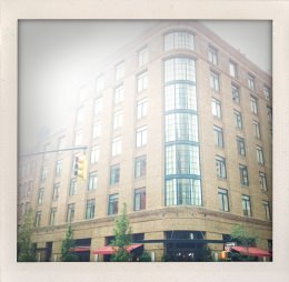 365 days — Laziz Hamani