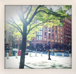 365 days — Laziz Hamani