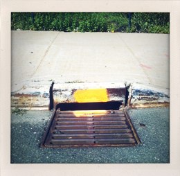 365 days — Laziz Hamani